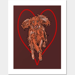 Irish Red Setter Posters and Art